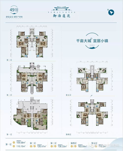 曝张玉全致女方怀孕染病后消失，真相令人震惊！