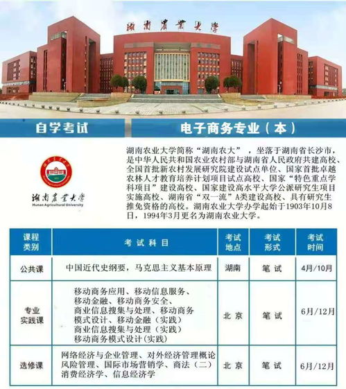 大学电子商务专业软件