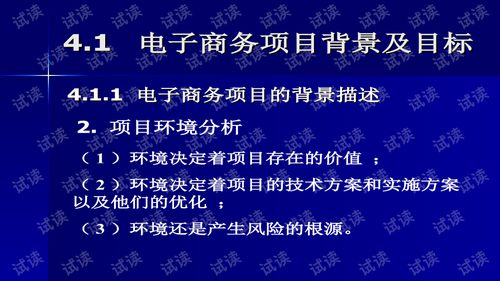 电子商务专业创业规划