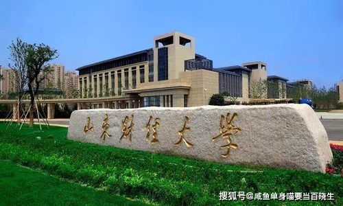 山东电子商务专业大学