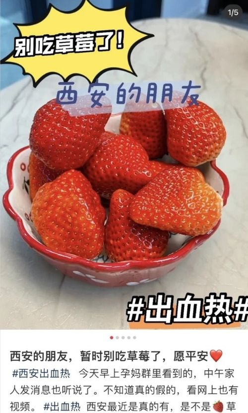 专家辟谣吃草莓会得“草莓瘟”