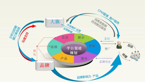 电子商务的专业认知性