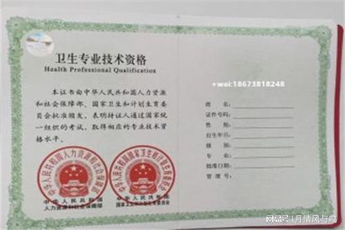 电子商务专业初定职称