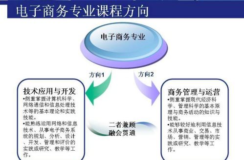 电子商务可以考的专业