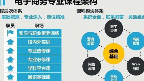 专业电子商务的就业前景