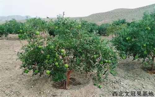 女演员贵州拍戏遇极端天气，胳膊受伤引关注