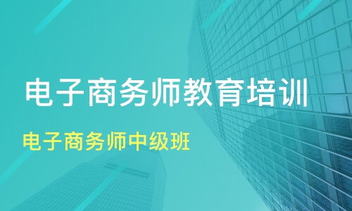 电子商务师中级专业