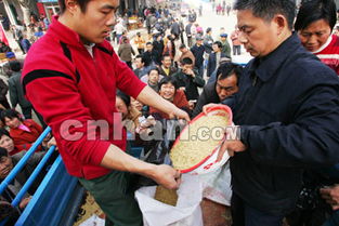 小伙麦田摆摊体验割麦10元一次，感受农民辛勤汗水背后的故事